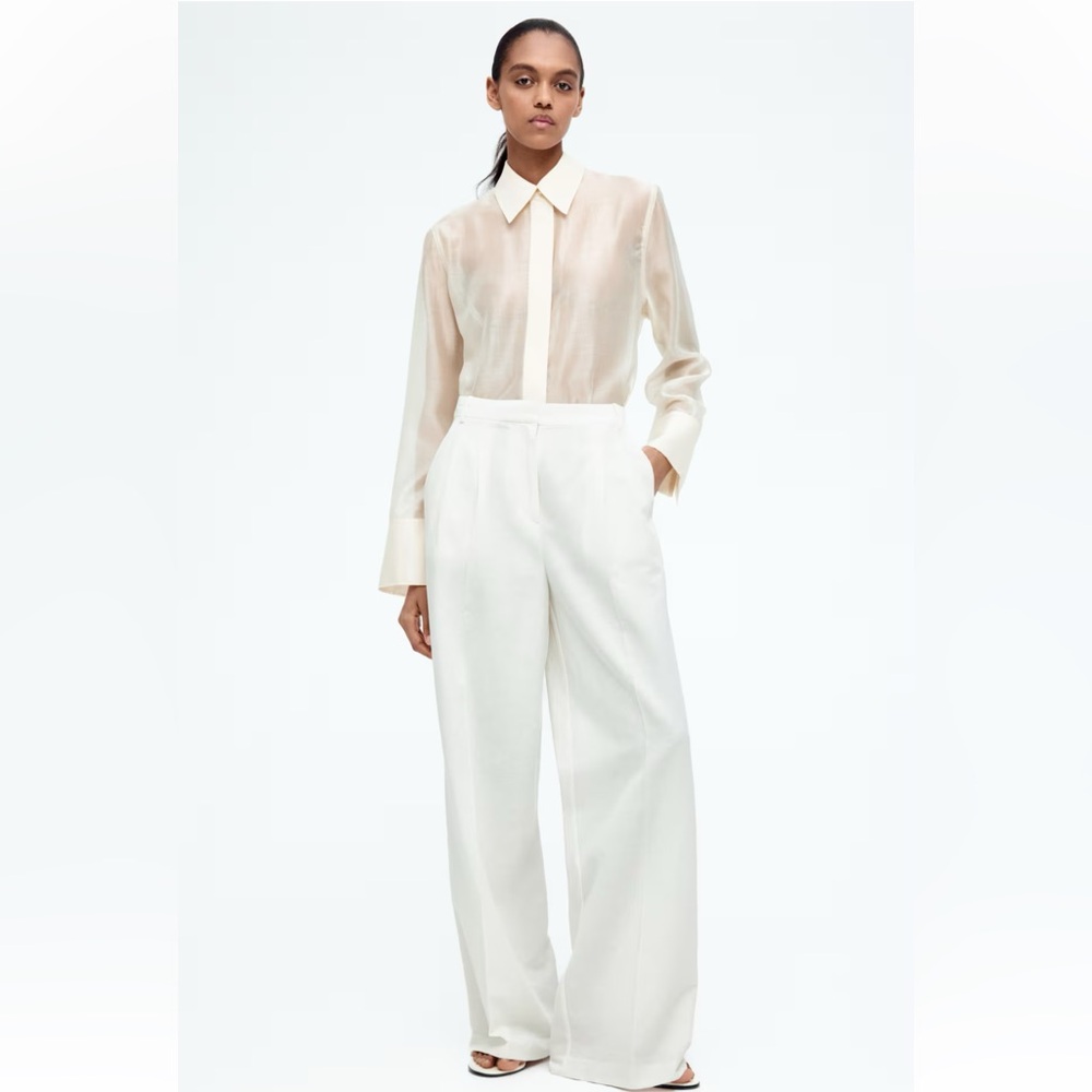 H&M Button Down Sheer Shirt - Picture 7 of 9